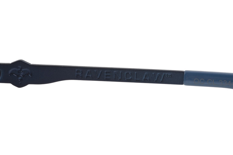 SUNGLASSES - OCCL3344