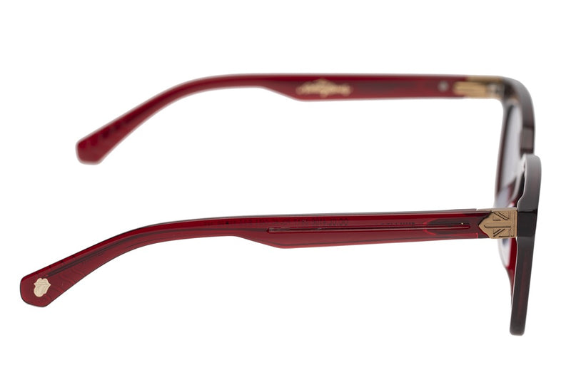 SUNGLASSES - OCCL4106
