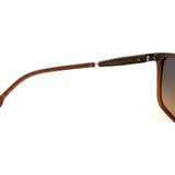 SUNGLASSES - OCCL5186