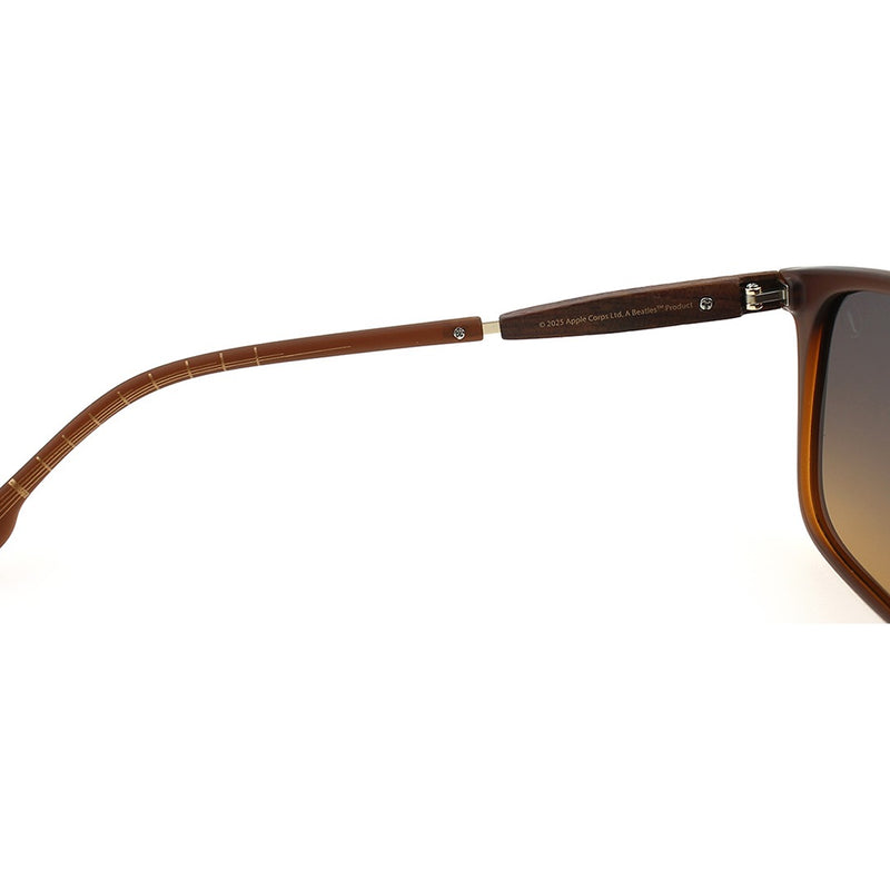 SUNGLASSES - OCCL5186