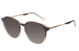 SUNGLASSES - OCCL4007