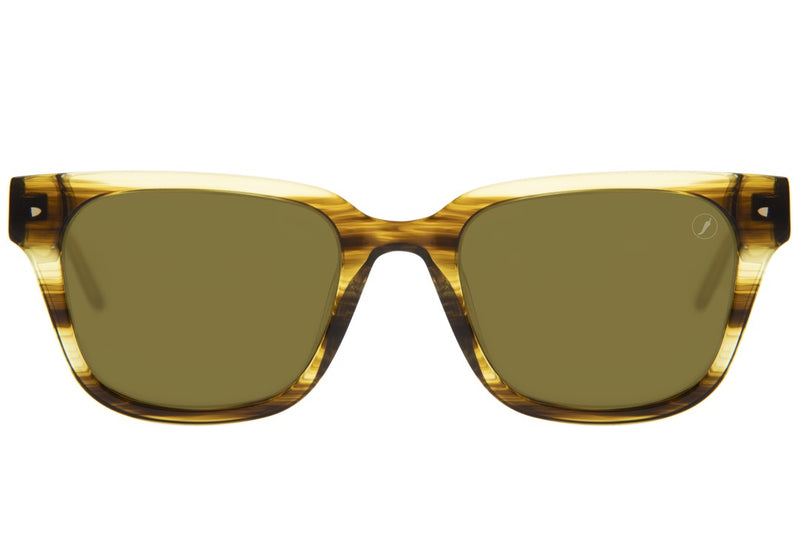 SUNGLASSES - OCCL4100
