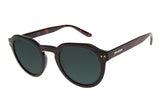 SUNGLASSES - OCCL4074