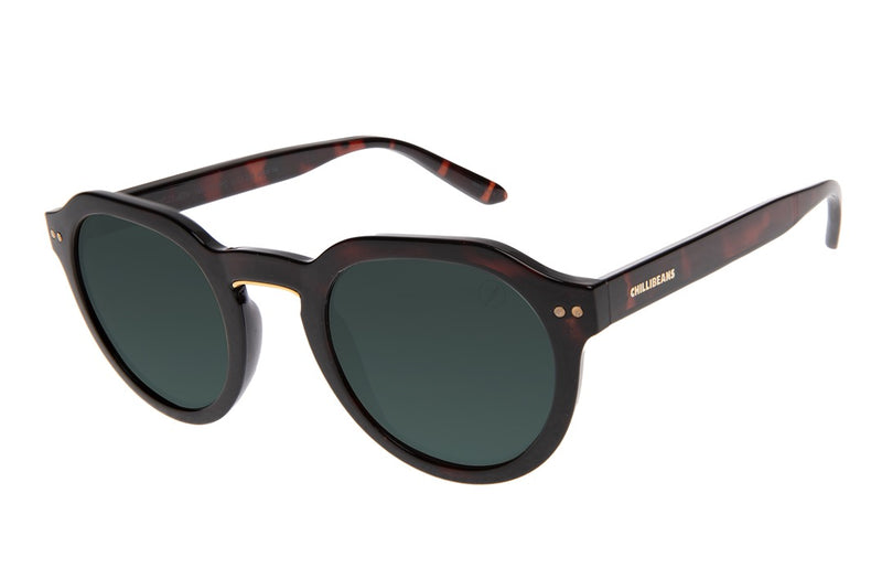 SUNGLASSES - OCCL4074
