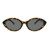 SUNGLASSES - OCCL5884