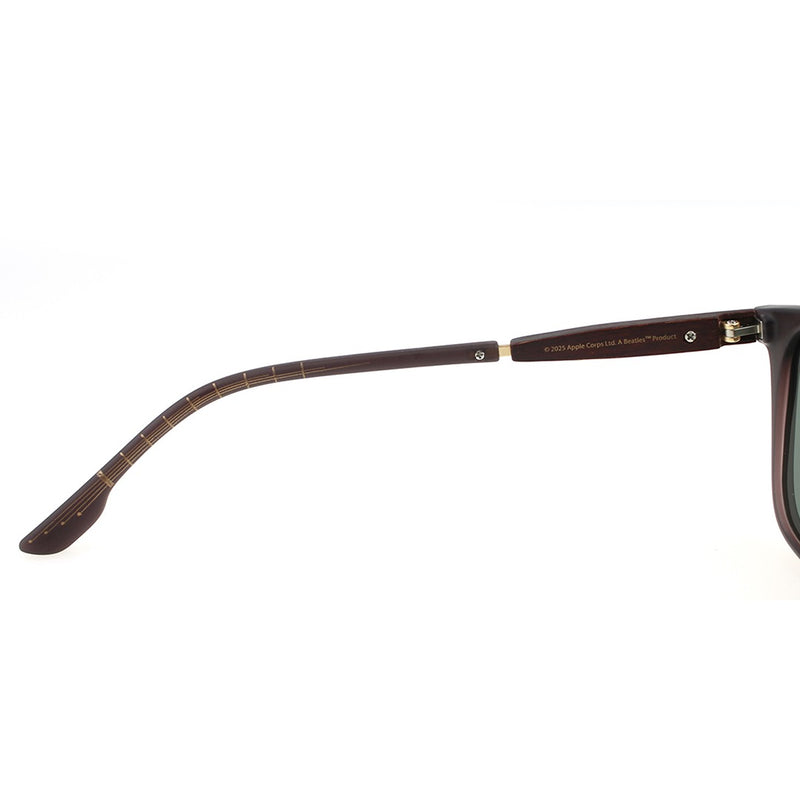 SUNGLASSES - OCCL5186