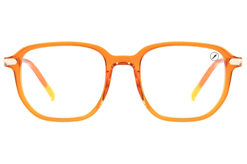 MULTI EYEGLASSES - LVMU0729