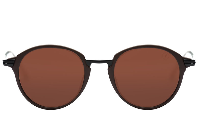 SUNGLASSES - OCCL4231