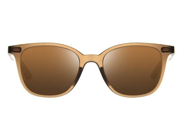 SUNGLASSES - OCCL4113