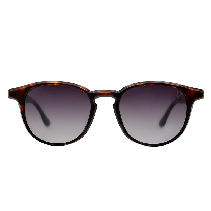 SUNGLASSES - OCCL5174