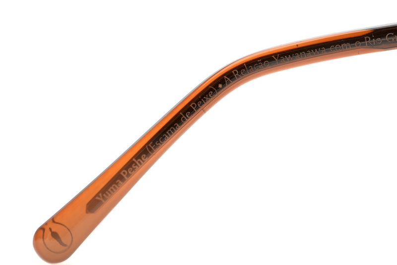 SUNGLASSES - OCCL4226