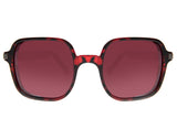 SUNGLASSES - OCCL4173