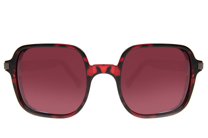 SUNGLASSES - OCCL4173