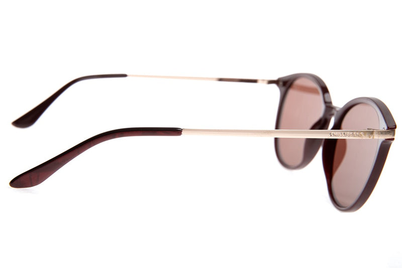 SUNGLASSES - OCCL3998