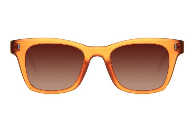 SUNGLASSES - OCCL4027