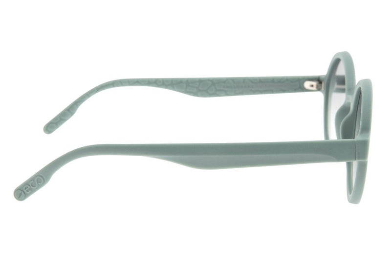 SUNGLASSES - OCCL3276