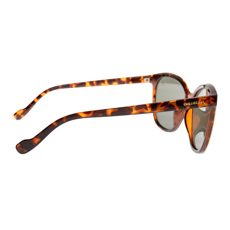 SUNGLASSES - OCCL4617