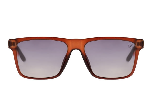 SUNGLASSES - OCCL4494