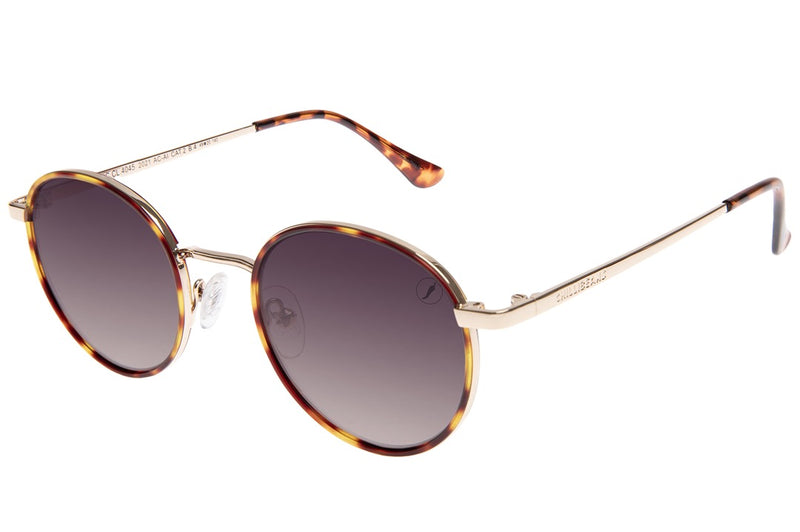 SUNGLASSES - OCCL4045
