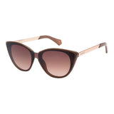 SUNGLASSES - OCCL5348