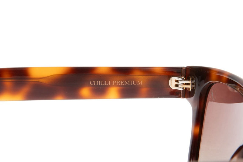 SUNGLASSES - OCCL4688