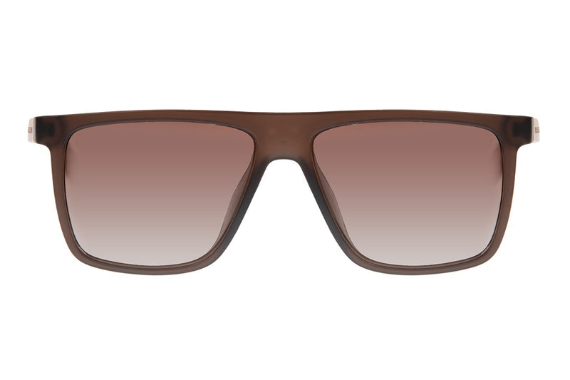 SUNGLASSES - OCCL4172