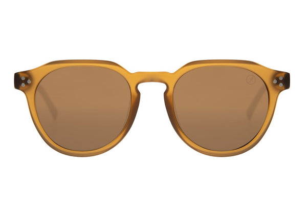 SUNGLASSES - OCCL4209
