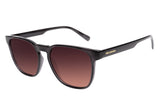 SUNGLASSES - OCCL3418