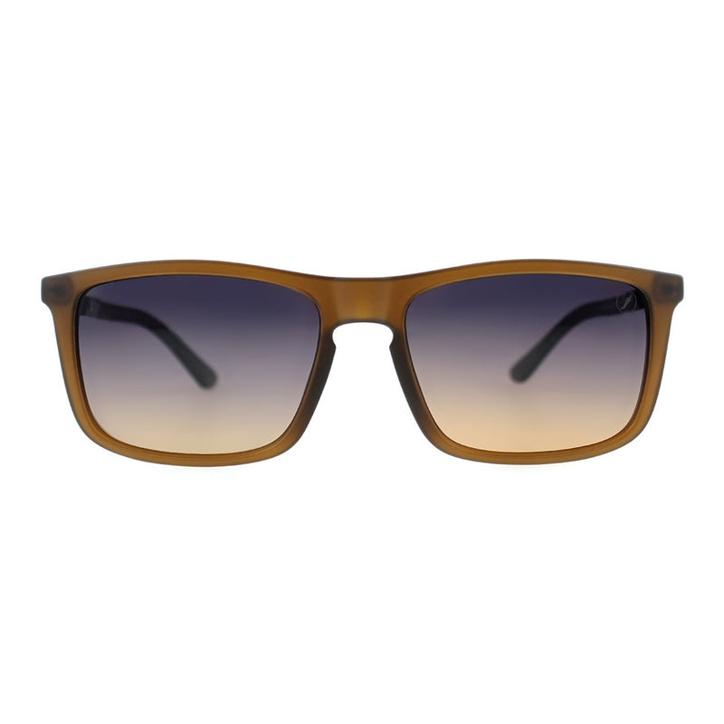 SUNGLASSES - OCCL5236