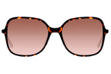 SUNGLASSES - OCCL3832