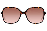 SUNGLASSES - OCCL3832