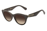 SUNGLASSES - OCCL4260