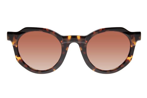 SUNGLASSES - OCCL4213