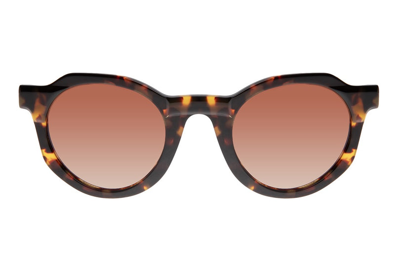 SUNGLASSES - OCCL4213
