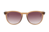 SUNGLASSES - OCCL4661