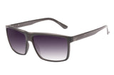 SUNGLASSES - OCCL4493