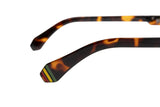 SUNGLASSES - OCCL4445