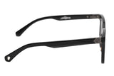 SUNGLASSES - OCCL4106