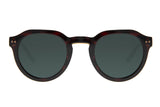 SUNGLASSES - OCCL4074