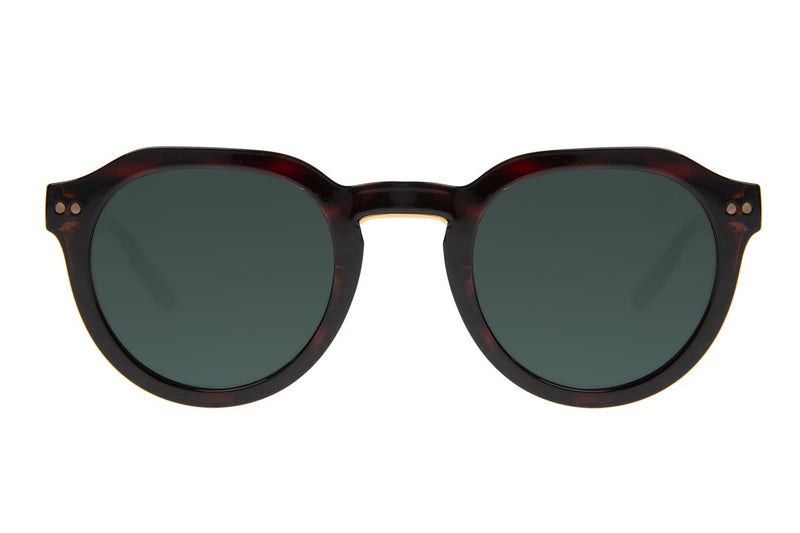 SUNGLASSES - OCCL4074