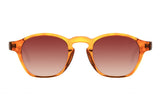 SUNGLASSES - OCCL4126