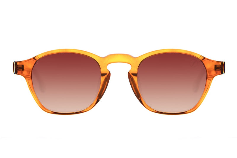 SUNGLASSES - OCCL4126