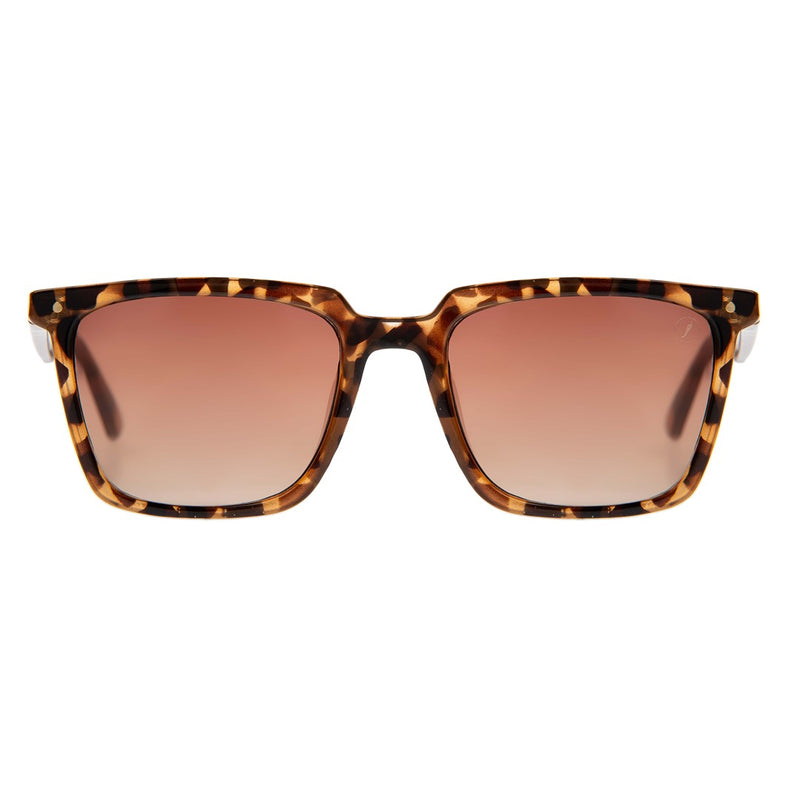 SUNGLASSES - OCCL4577