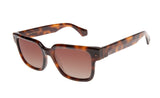 SUNGLASSES - OCCL4688