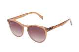 SUNGLASSES - OCCL4661