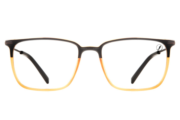 OPTICAL GLASSES - LVIJ0220
