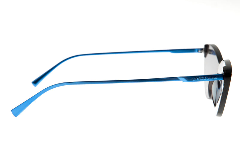 SUNGLASSES - OCCL2668