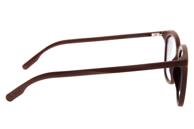 SUNGLASSES - OCCL3278