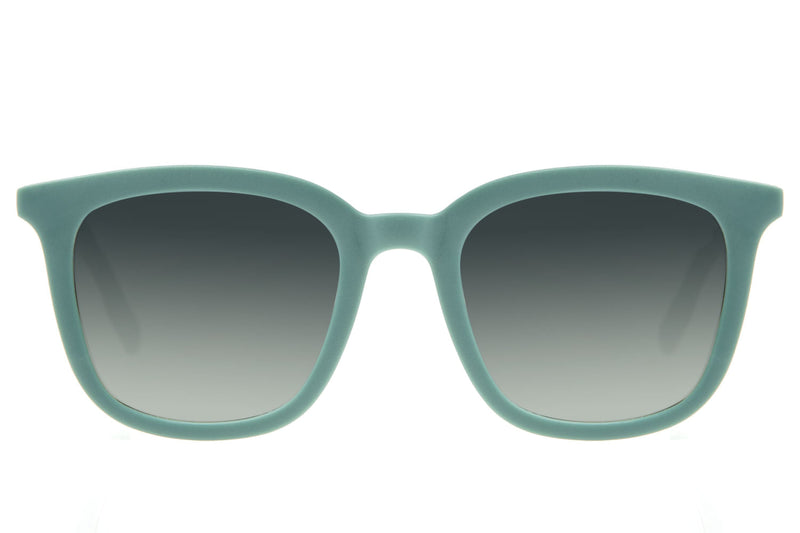 SUNGLASSES - OCCL3278