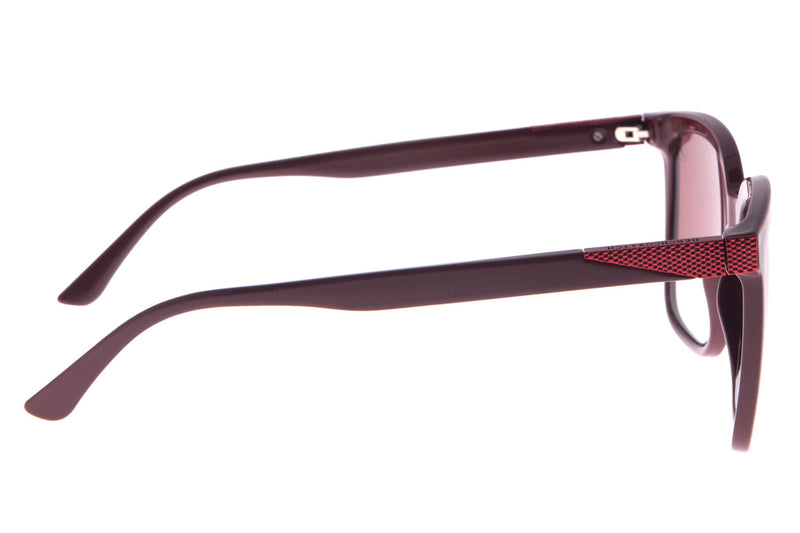 SUNGLASSES - OCCL3369